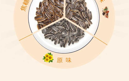 真心瓜子500g 4袋 焦糖五香紅棗山核桃原味4斤葵花籽堅(jiān)果炒貨