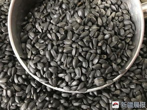 這家炒貨老店五香小油葵和糖皮花生14年手工造,讓你想起兒時(shí)味道