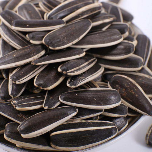 生瓜子與葵花籽 五香、焦糖、原味的多樣風(fēng)味選擇