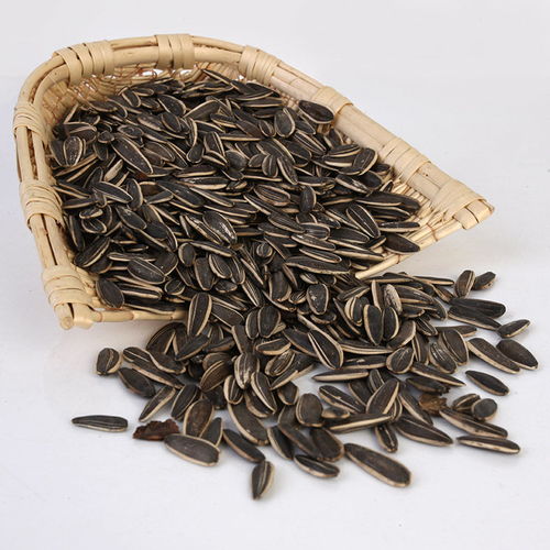 味蕾盛宴 從散裝批發(fā)到精致小包裝，探秘五香瓜子的獨(dú)特魅力